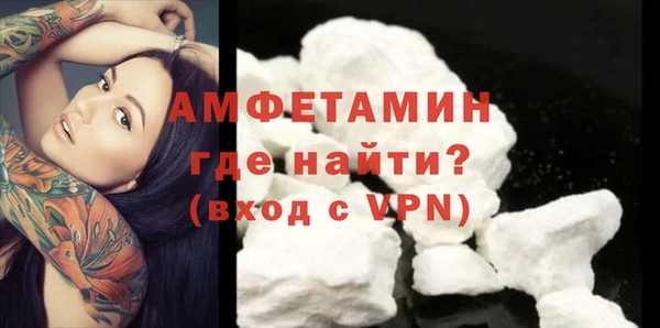 индика Тавда