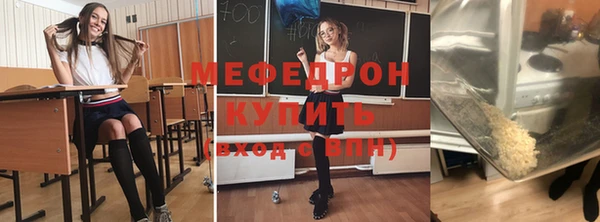 индика Тавда