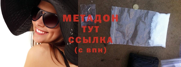 индика Тавда