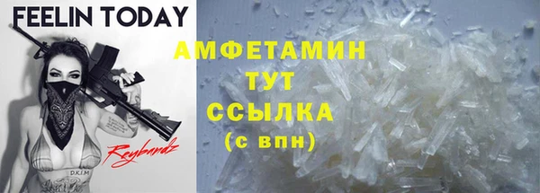 гидра Сясьстрой