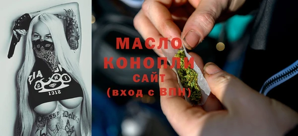 индика Тавда