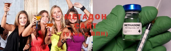 индика Тавда