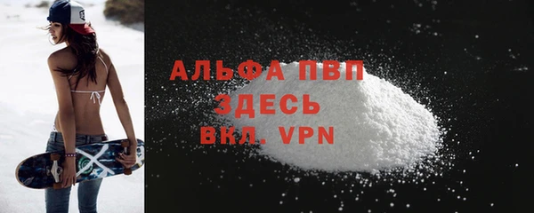 гидра Сясьстрой