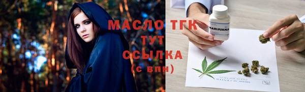 индика Тавда