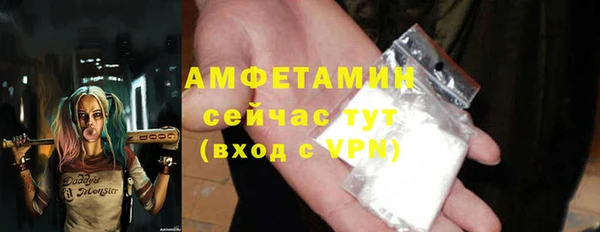 гидра Сясьстрой