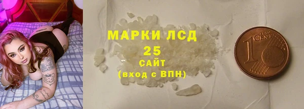 индика Тавда