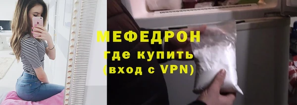 индика Тавда