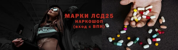 индика Тавда