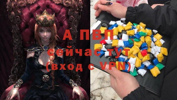 гидра Сясьстрой