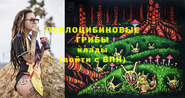 гидра Сясьстрой