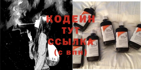 индика Тавда