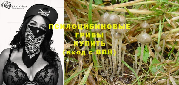 индика Тавда
