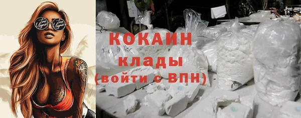 гидра Сясьстрой