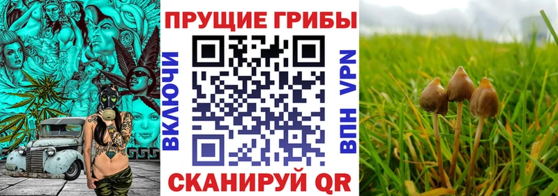 Галлюциногенные грибы GOLDEN TEACHER Купить Пермь